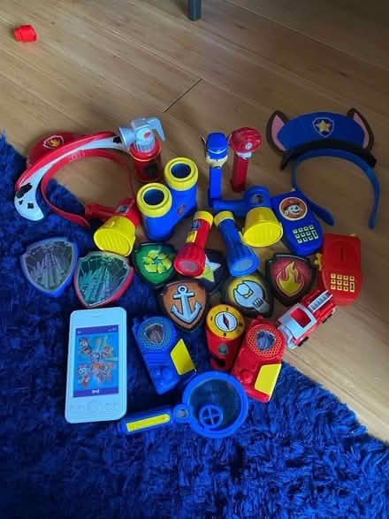 Photo of free Paw patrol accessories (Kingston KT1) #1