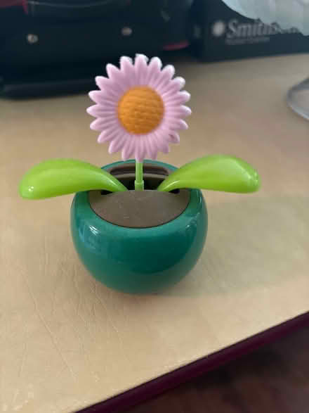 Photo of free Solar powered dancing flower (Langhorne) #1