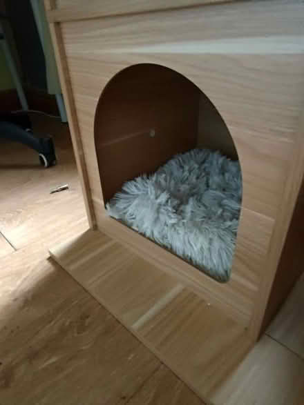 Photo of free Cat tower (Ashton-U-Lyne OL6) #3