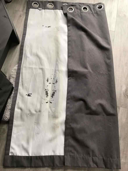 Photo of free Curtains (Halton LA2) #1