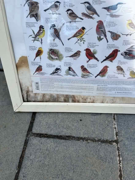 Photo of free Large lightweight frame & perspex (Hitchin Herts) #2