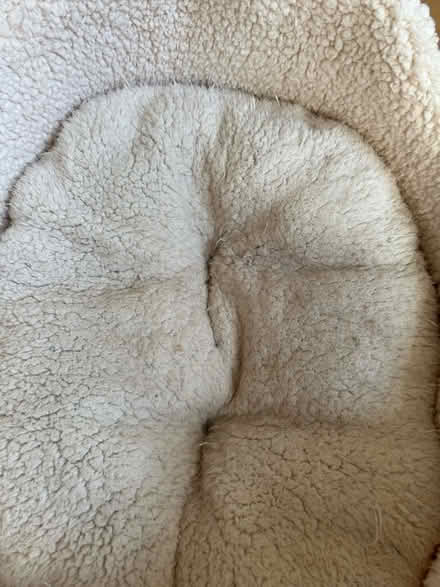 Photo of free Dog/ cat bed (Morningside EH10) #4