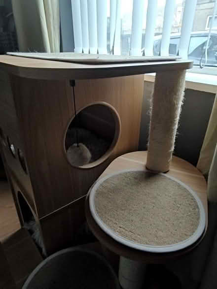 Photo of free Cat tower (Ashton-U-Lyne OL6) #2