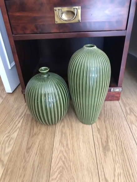 Photo of free 2 green cases (UB5 6TX) #1