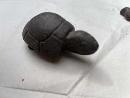 Photo of free Tortoises & frog (BD18 Shipley) #2