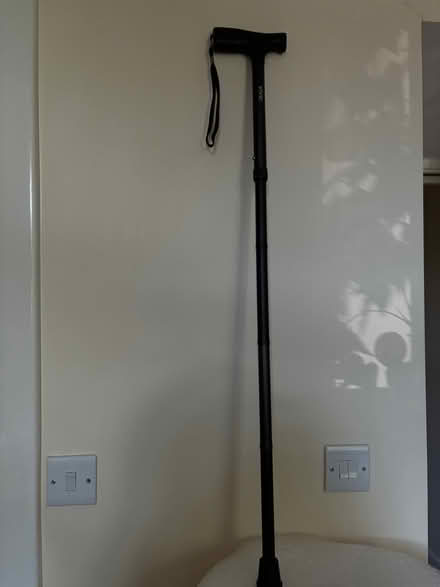 Photo of free Vive foldable cane (Debden, IG10) #1