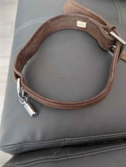 Photo of free Large dog collar (Chessington KT9) #2