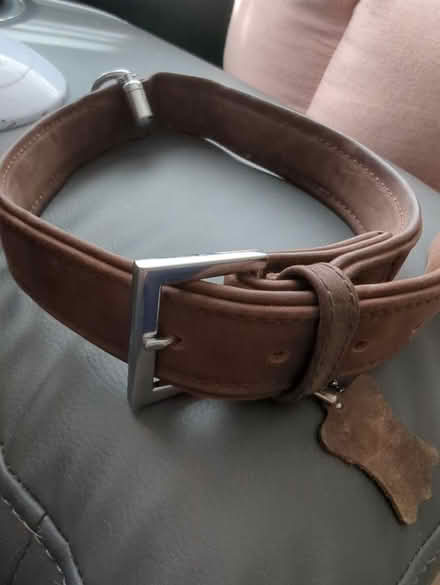 Photo of free Large dog collar (Chessington KT9) #1