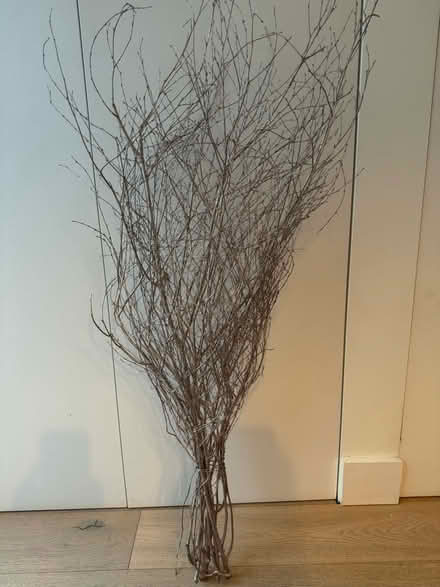Photo of free Decorative glittery twigs (Twickenham) #1