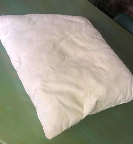 Photo of free Large cushion (Central Berkhamsted) #1