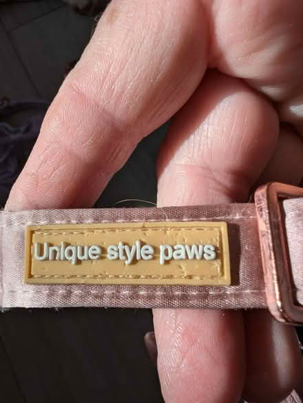 Photo of free 4 satin small dog collars (Chessington KT9) #4