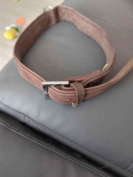 Photo of free Large dog collar (Chessington KT9) #3