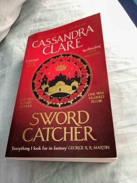 Photo of free Sword catcher by Cassandra clare (Liss Forest GU33) #1