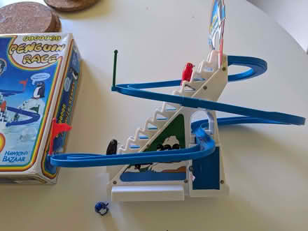 Photo of free Playful penguin race (Brookvale RG21) #1