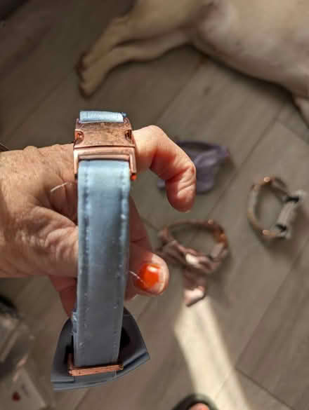 Photo of free 4 satin small dog collars (Chessington KT9) #3