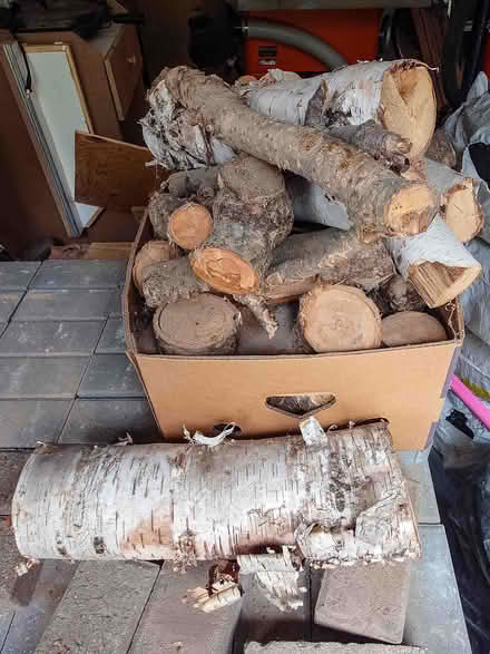 Photo of free Birch Firewood (Erin Mills) #1