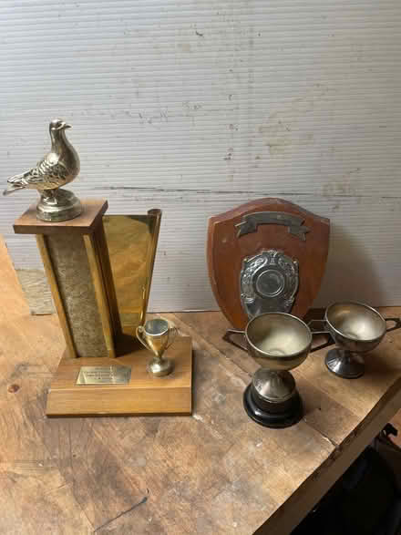 Photo of free Vintage Pigeon Fancier Trophies (Slyne with Hest LA2) #1