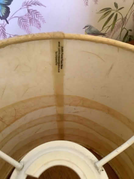 Photo of free Light shade (Abraham Heights LA1) #1