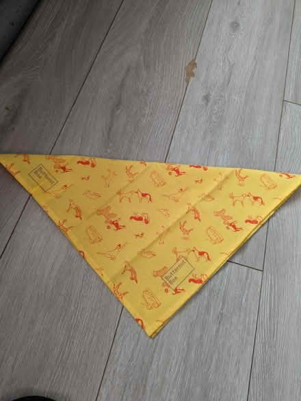 Photo of free Small Dog bandanas (Chessington KT9) #2