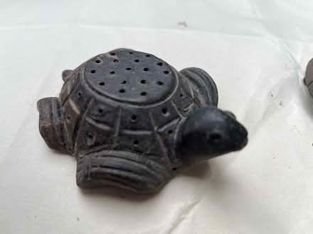 Photo of free Tortoises & frog (BD18 Shipley) #1