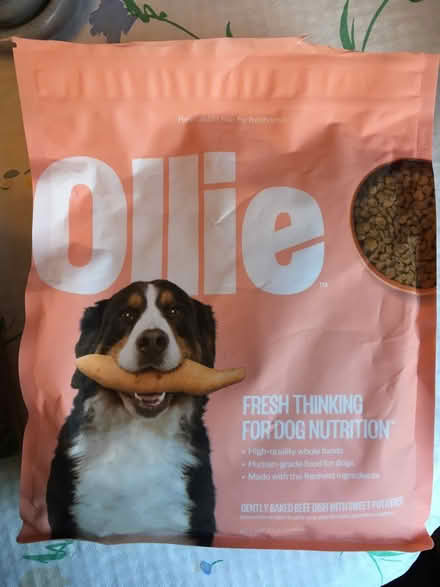 Photo of free Dry dog food - 95014 (Prospect/Stelling) #4