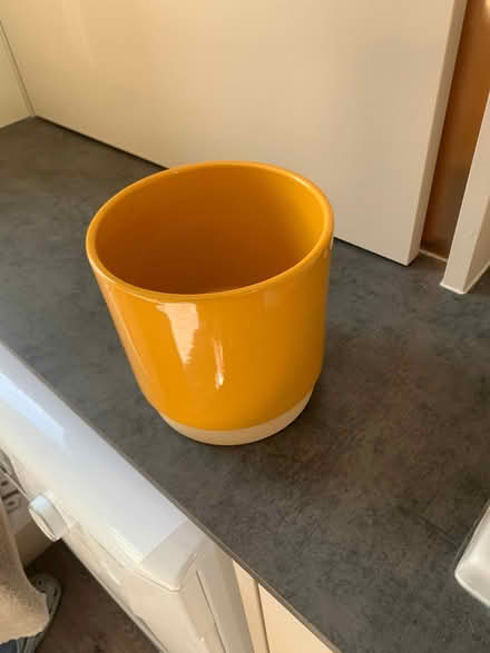 Photo of free indoor plant pot (Bracknell RG12) #1