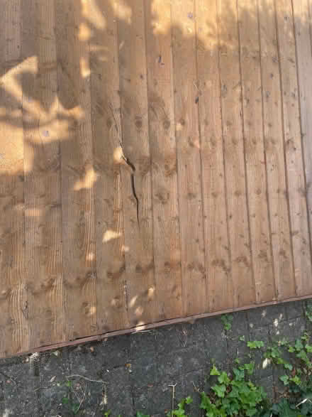 Photo of free Old shed wall (Seven Sisters N15) #3