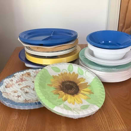 Photo of free Picnic plates (Priory Ward EX2) #1