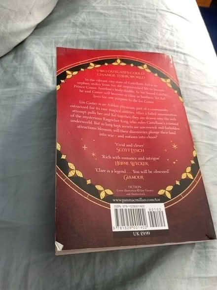 Photo of free Sword catcher by Cassandra clare (Liss Forest GU33) #2