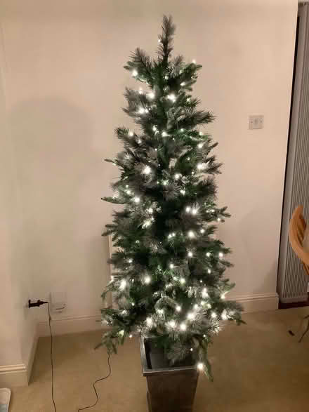 Photo of free Artificial Christmas tree (Priory Ward EX2) #1