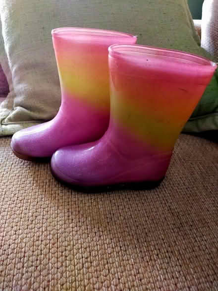 Photo of free Girls wellies good condition (Oswestry) #1