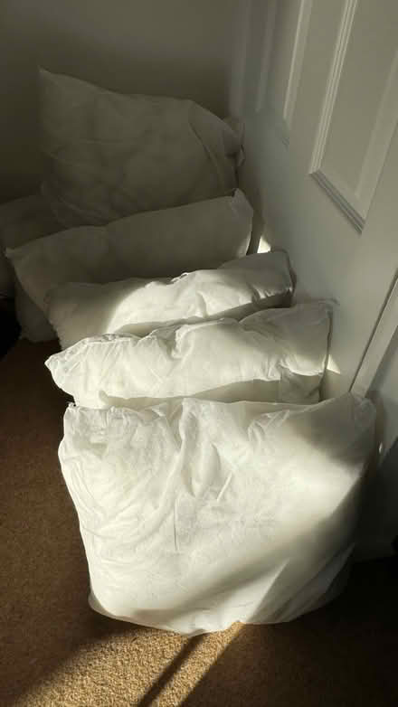 Photo of free 6 cushion inserts (Chineham, RG24) #1