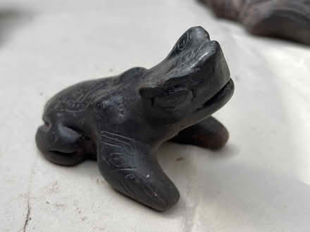 Photo of free Tortoises & frog (BD18 Shipley) #3
