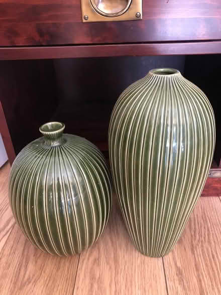 Photo of free 2 green cases (UB5 6TX) #2