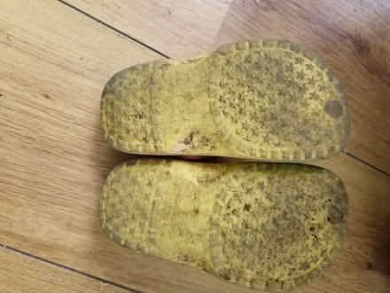 Photo of free Size 7 (EU 24) croc type shoes (CR4 Mitcham) #3