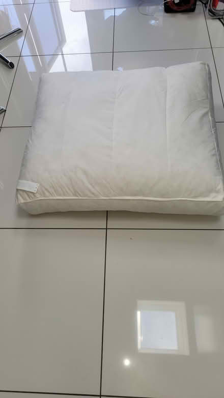 Photo of free Cushion insert for sofa/pet (Leytonstone, E11) #1