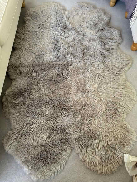 Photo of free Quad Light Grey Real Sheepskin rug (Beaconsfield HP9) #1