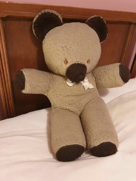 Photo of free Teddy Bear (Stratford, E15) #1