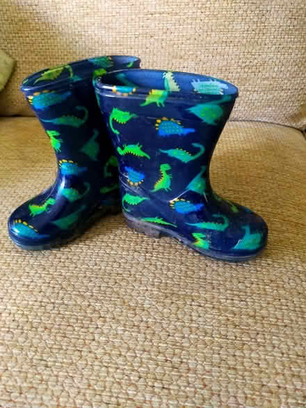 Photo of free Dinosaur wellies (Oswestry) #1