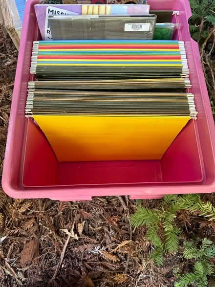 Photo of free Hanging File Folders - 2 (Larkspur) #1
