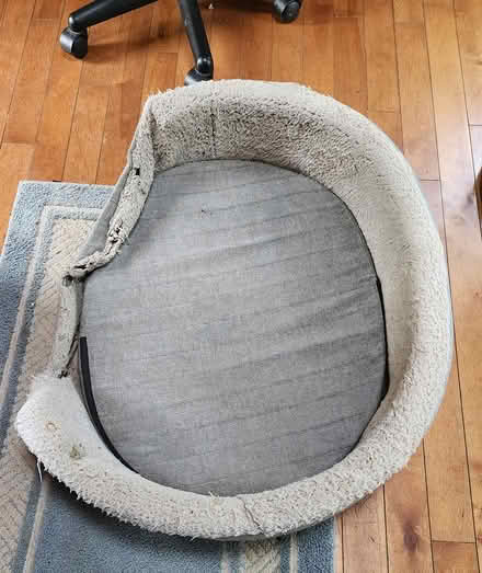 Photo of free Dog Bed (large) (High Falls) #1