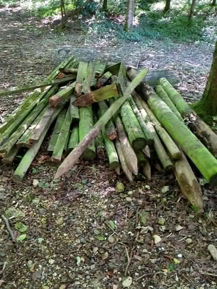 Photo of free Fence posts (Common Portdown RG17) #1