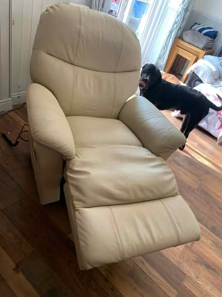 Photo of free Cream leather electric chair (SS15 laindon) #4