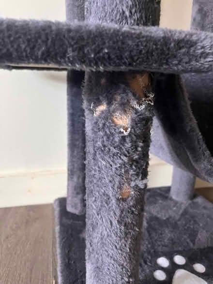 Photo of free Preloved large cat tower (Tulse Hill, SE21) #3