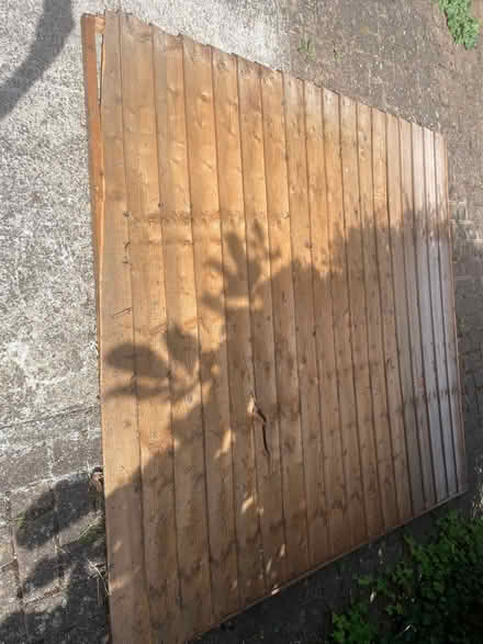Photo of free Old shed wall (Seven Sisters N15) #2