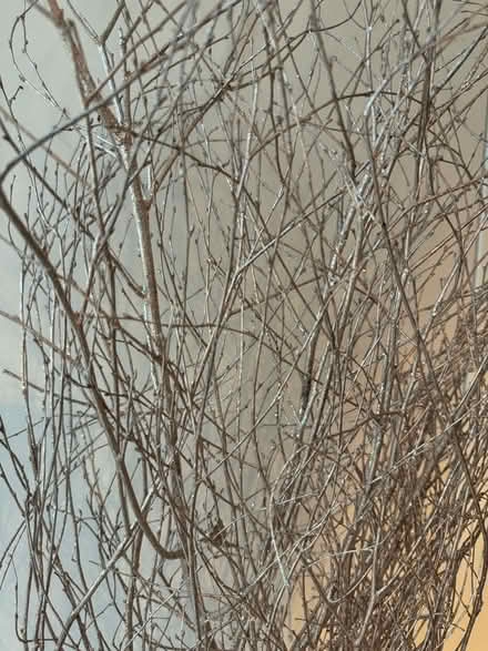 Photo of free Decorative glittery twigs (Twickenham) #2