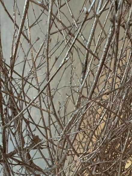 Photo of free Decorative glittery twigs (Twickenham) #3