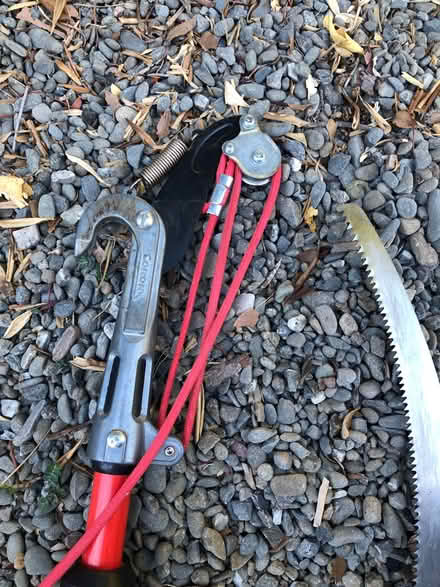 Photo of free 12’ Fiberglass Corina Tree Pruner (Downtown Mountain View) #3