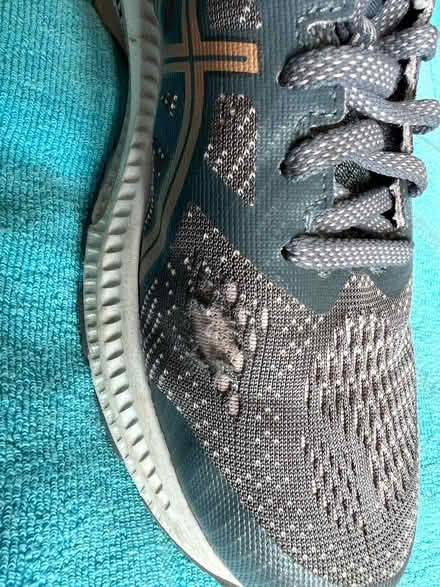 Photo of free Women’s ASICS trainers UK size 7 (Knotty Green HP9) #3