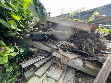 Photo of free Random wood (CT1) #1